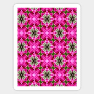 Valentine's Day pink rose pattern. Sticker